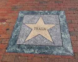 As one walks past and down SW 8th Street, you'll notice the sidewalk is marked with pink marble stars, making up the Calle Ocho Walk of Fame. This Lit